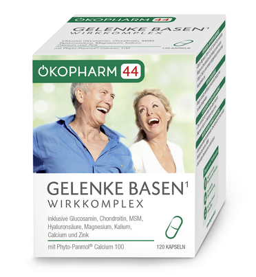 Ökopharm44® Gelenke Basen Wirkkomplex Kapseln 120 ST, A-Nr.: 3864907 - 01