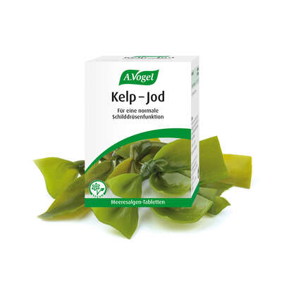 A.Vogel Kelp – Jod Meeresalgen-Tabletten vegan, A-Nr.: 4089735 - 03