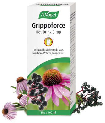 A.Vogel Grippoforce Hot Drink Sirup, A-Nr.: 4976258 - 02
