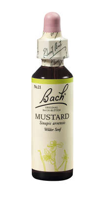 Bach®-Blüte Nr. 21 Mustard (Wilder Senf), A-Nr.: 5322990 - 01