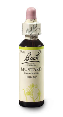 Bach®-Blüte Nr. 21 Mustard (Wilder Senf), A-Nr.: 5322990 - 03